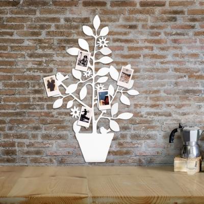 Furnish and equip the walls with Caoscreo